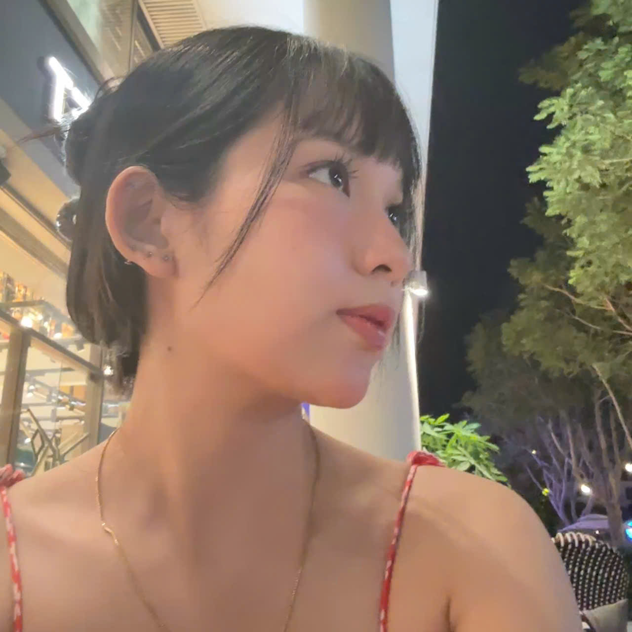 Nhật Nam Lê